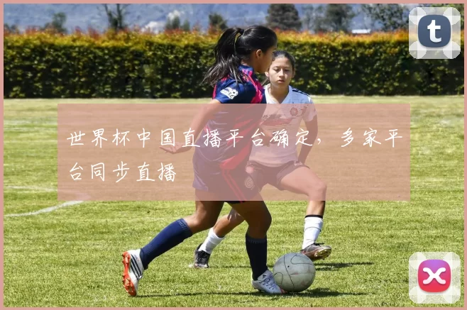 世界杯中国直播平台确定，多家平台同步直播