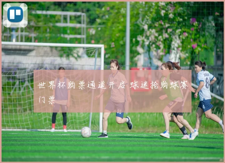 世界杯购票通道开启 球迷抢购球赛门票