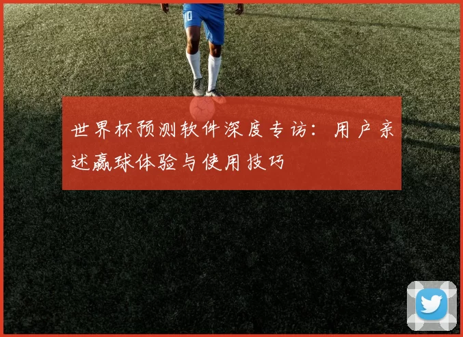 世界杯预测软件深度专访：用户亲述赢球体验与使用技巧
