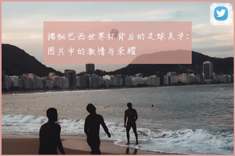 揭秘巴西世界杯背后的足球美学：图片中的激情与荣耀