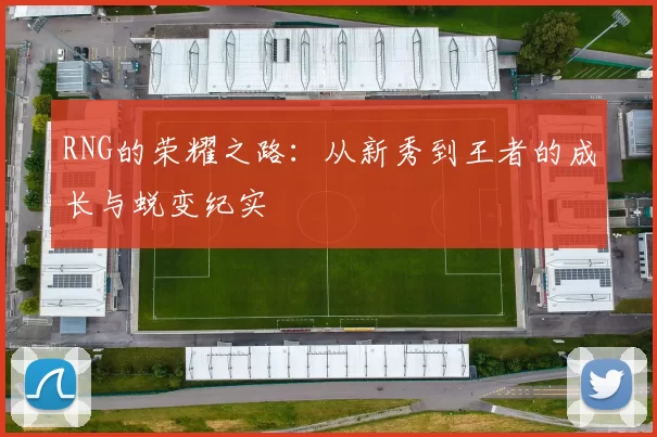 RNG的荣耀之路:从新秀到王者的成长与蜕变纪实