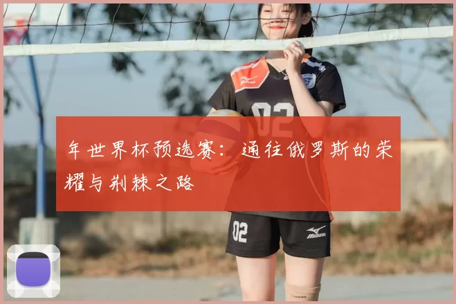 年世界杯预选赛:通往俄罗斯的荣耀与荆棘之路