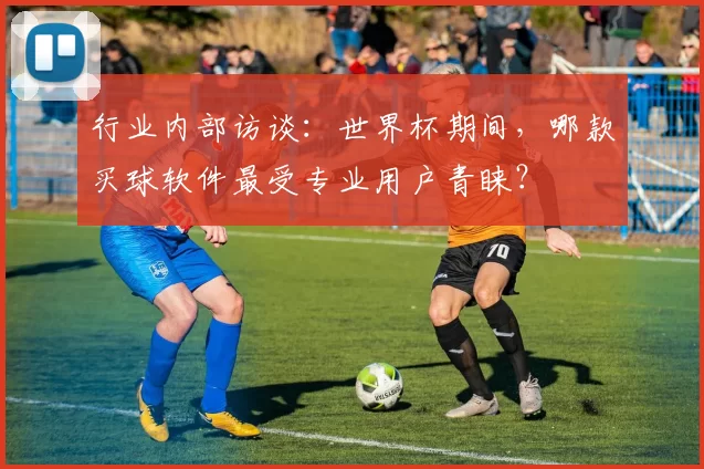 行业内部访谈:世界杯期间,哪款买球软件最受专业用户青睐?