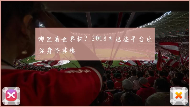 哪里看世界杯?2018年这些平台让你身临其境