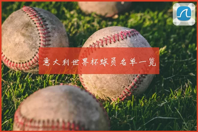 意大利世界杯球员名单一览