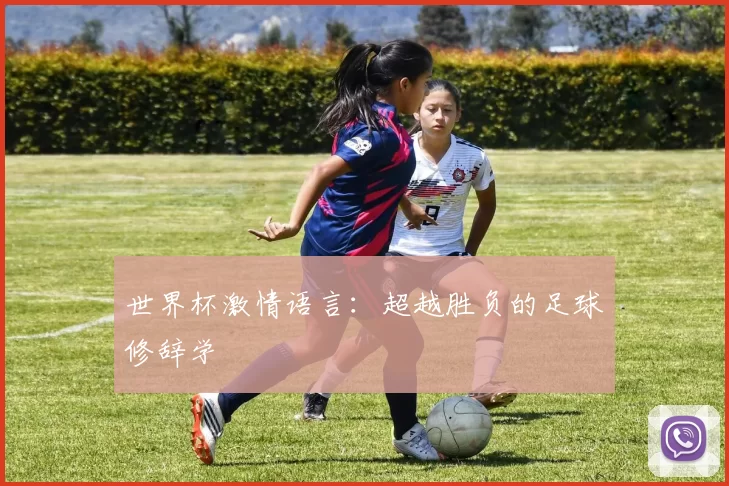 世界杯激情语言：超越胜负的足球修辞学