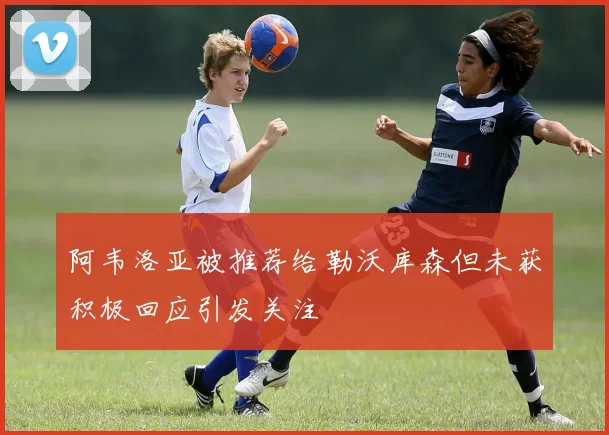 阿韦洛亚被推荐给勒沃库森但未获积极回应引发关注