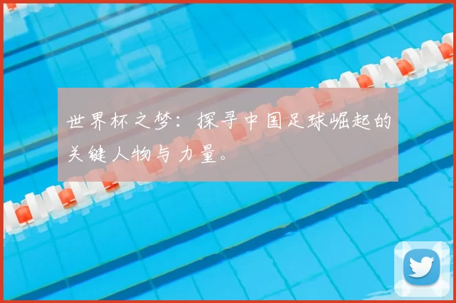 世界杯之梦:探寻中国足球崛起的关键人物与力量。